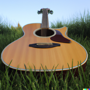 Acoustic Guitar